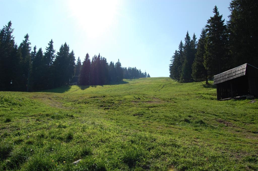 Apartament Nova Ponorka Martinske Hole Martinky Pokój zdjęcie